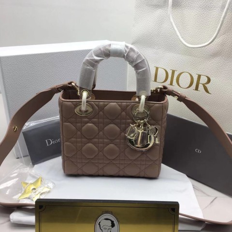 디올 레이디백 스몰