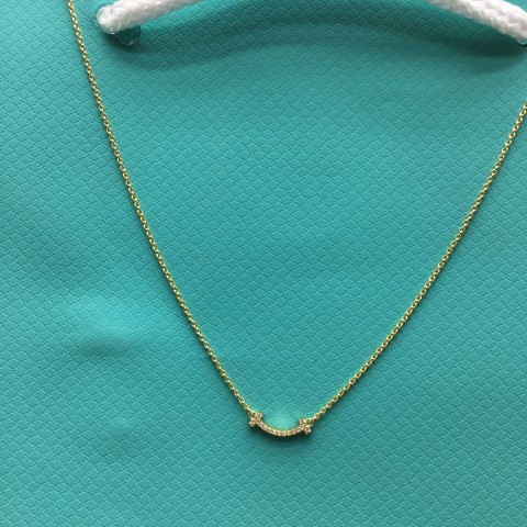 티파니 스마일 목걸이 (V-gold소재) (컬러 옐로우골드) (1CM)